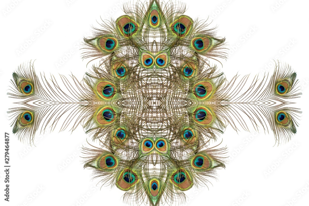 Obraz premium Pattern from beautiful exotic peacock feathers on white background