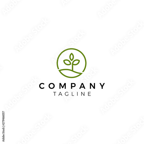 Abstract elegant tree flower line logo icon vector design. Graceful lined vector sign