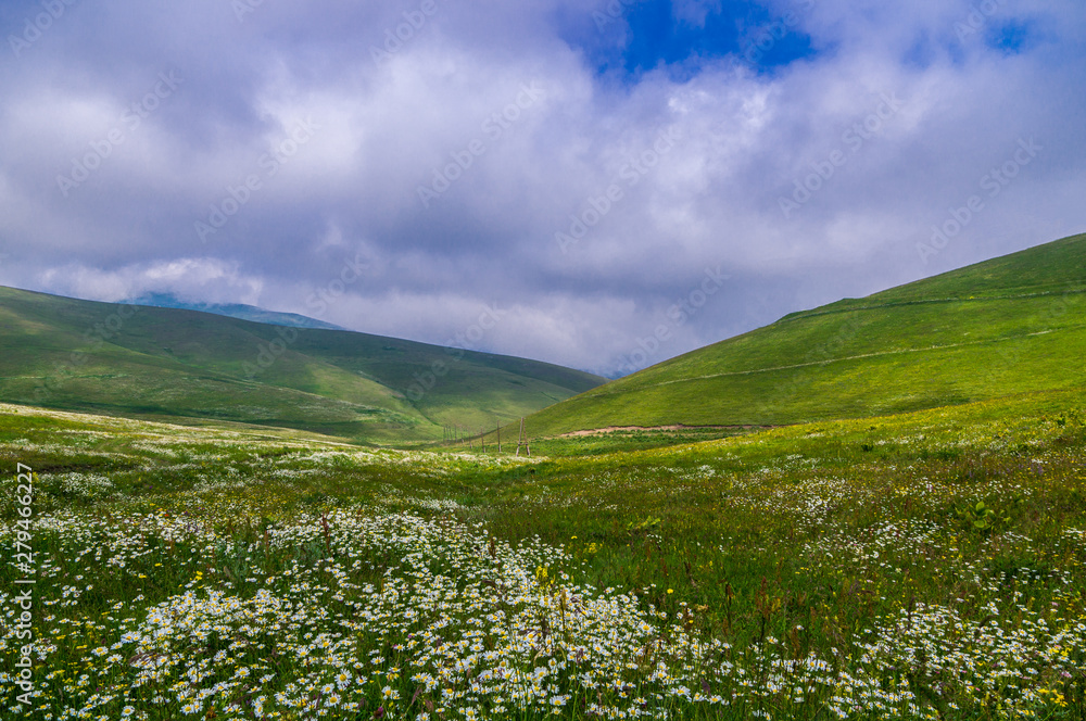 Fototapeta premium summer meadow with beautiful storm sky 