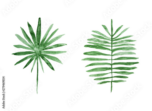 Hand drawn green palm leaves, tropical watercolor painting isolated on white background