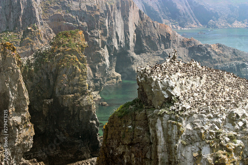 Pembroke Coast, South Wales