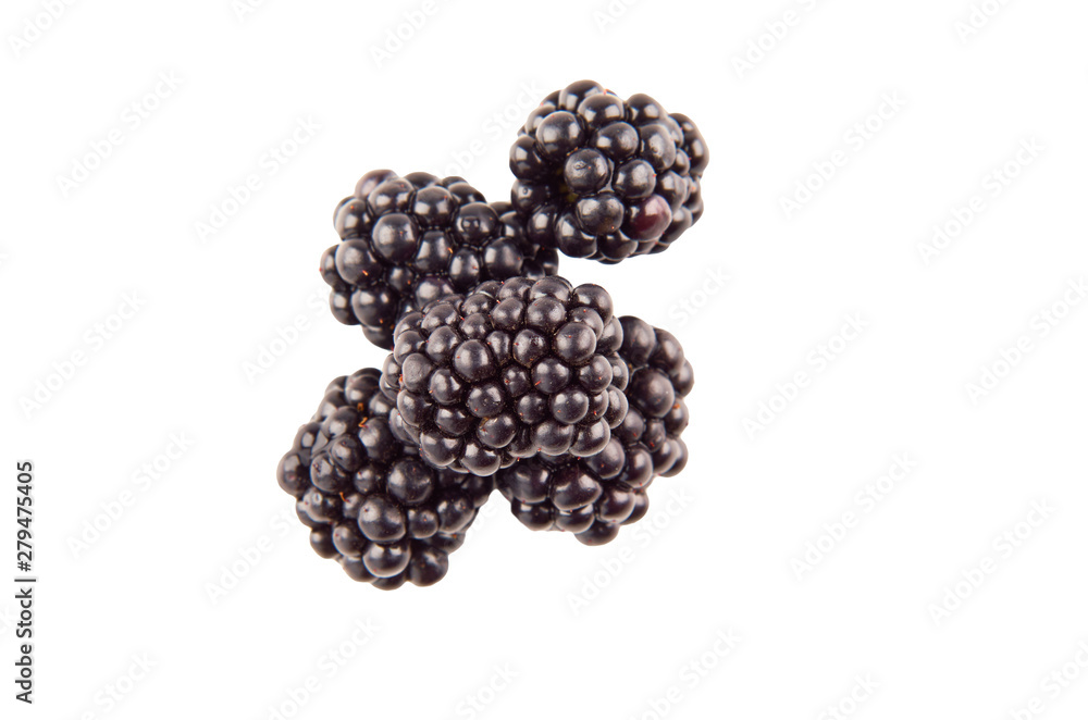 Collection blackberries on white background. The view from the top. Collection blackberries on white background. The view from the top.