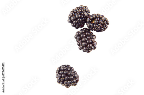 Collection blackberries on white background. The view from the top.