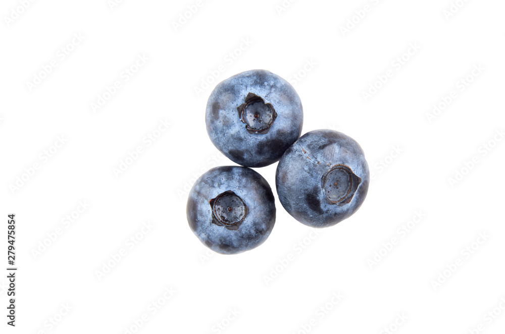 Two blueberry berries isolated on white background. The view from the top. Two blueberry berries isolated on white background. The view from the top.