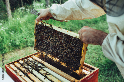 Getting out frame full of bees from hive