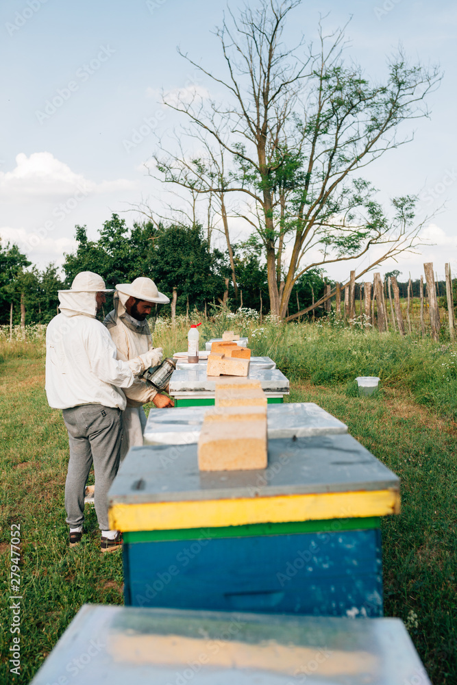 Look at a apiary and two apiarist working with bees Look at a apiary and two apiarist working with bees