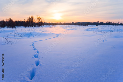 quiet snowbound winter prairie with a human track at the sunset
