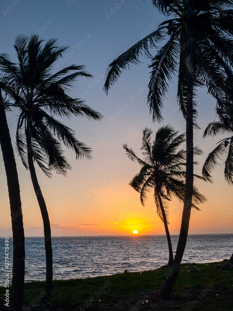 The coast coming alive with the first light of the day with palm trees and early morning glow. 