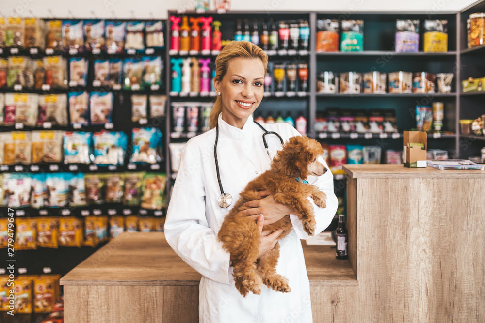Happy and smiled middle age veterinarian woman standing in pet shop and holding cute miniature red poodle while looking at camera.