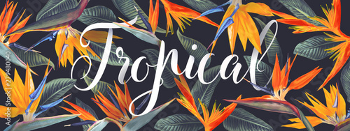 Summer tropical vector design for banner or flyer with Strelitzia Reginae, tropical flowers and leaves, South African plant, called crane flower or bird of paradise and lettering. Realistic style.