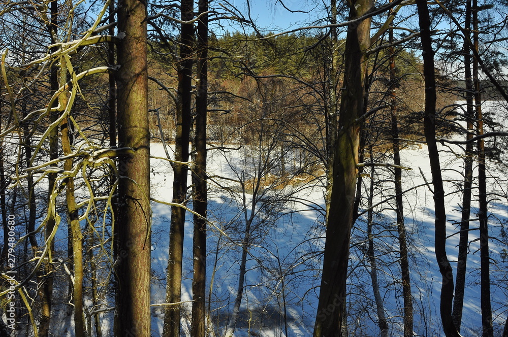 Fototapeta premium Jezioro Kośno