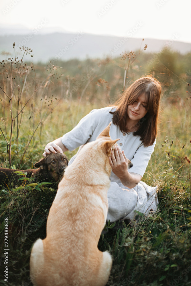 Stylish boho girl playing with her cute dogs in grass and wildflowers in sunny meadow in mountains at sunset. Traveling together with pets. Young woman caressing her golden dog