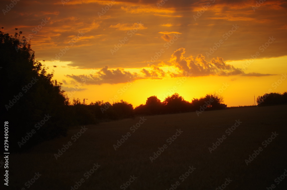 sunset in forest