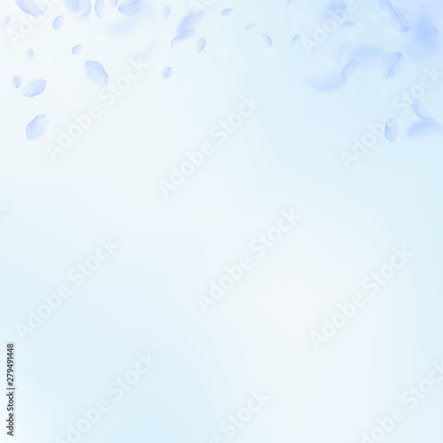 Light blue flower petals falling down. Awesome rom