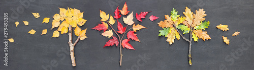 Autumn fall banner. Birch, oak and maple tree made from twigs, sticks and fallen leaves on chalkboard background
