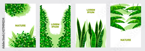 Tropical leaves. Plants and bushes. Set of templates for banners, invitations, flyers, cards, covers, posters. Cartoon flat illustration. Vector art.
