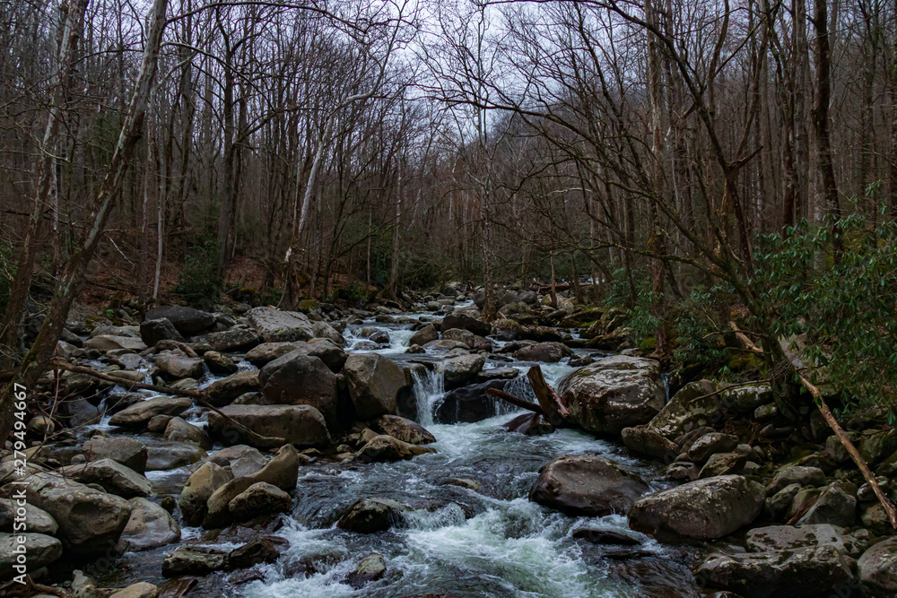 Cascading mountain stream in Great Smoky Mountains National Park