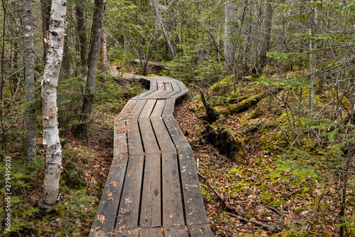 Landscape of the Pukaskwa National Park in Canada photo