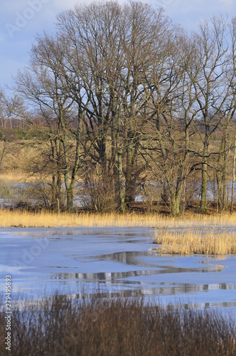 Jezioro Morąg