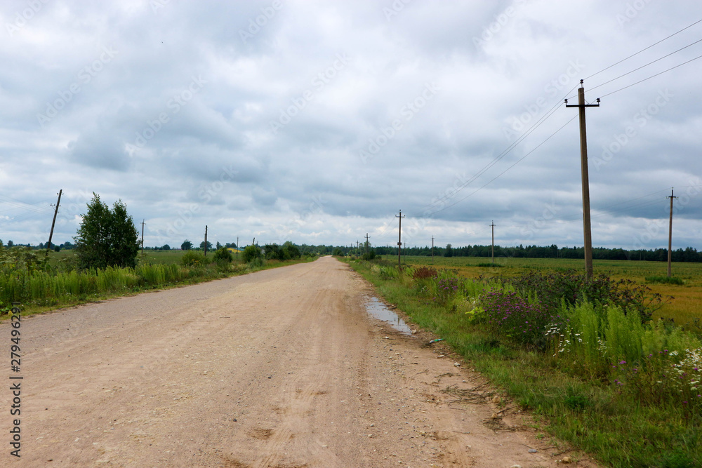 Empty rural dirt road in the field surrounded by flowers and rye