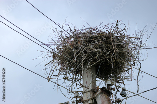 storks nest on the concrete pillar closeup