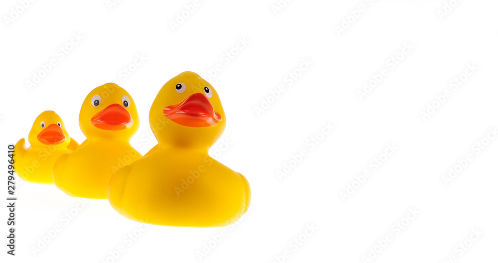 Fototapeta premium Enten als Familie folgen der Reihe nach
