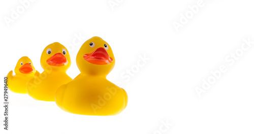Enten als Familie folgen der Reihe nach