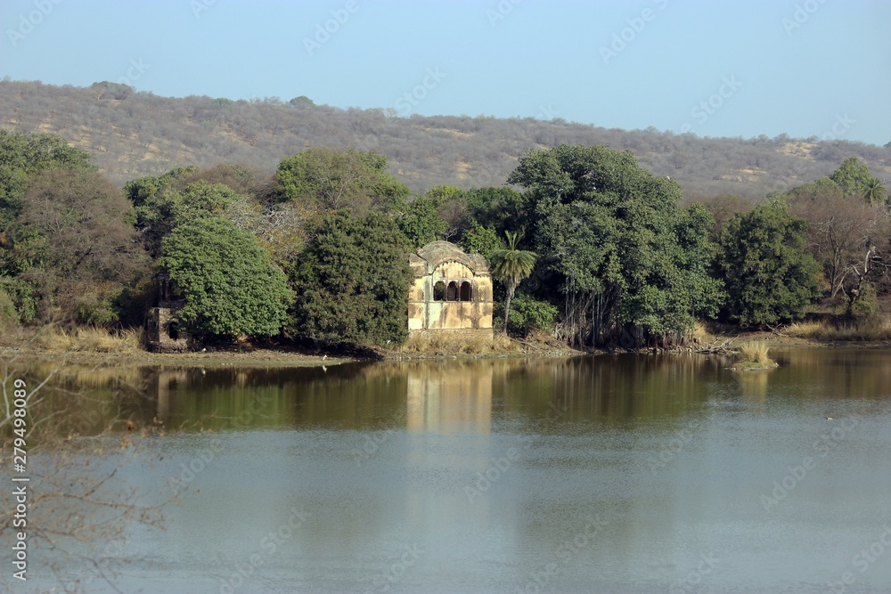 Raj Bagh Lake, Ranthambore National Park, India