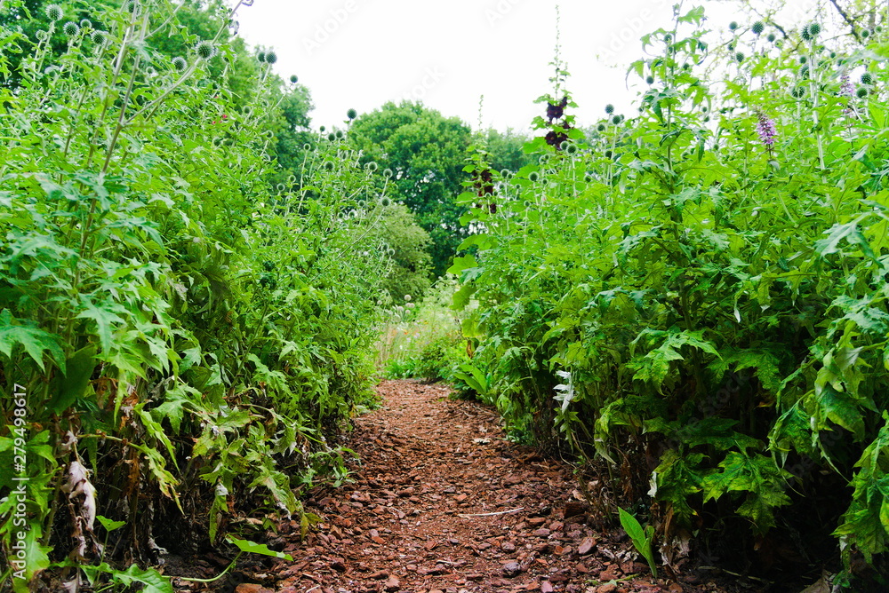 a patch through flower garden in the city park