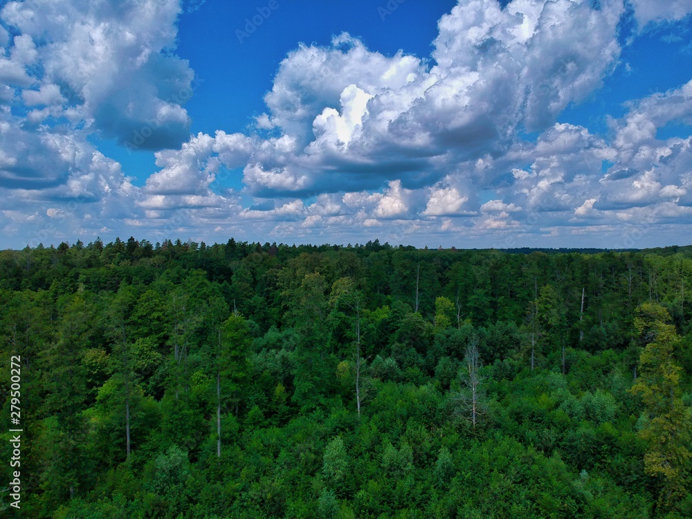 green field and blue sky