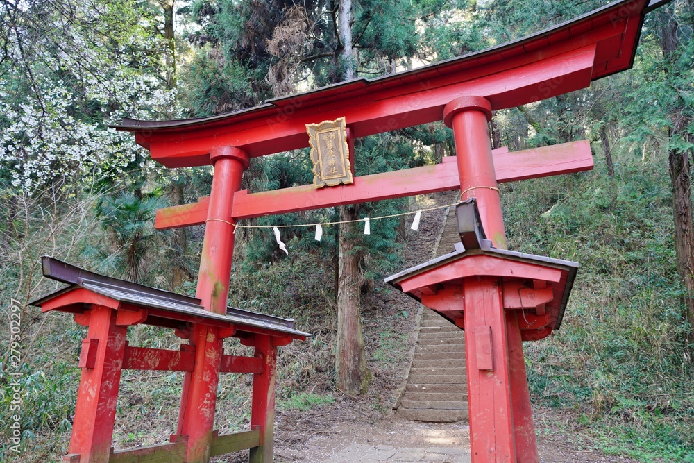新府城藤武稲荷の鳥居