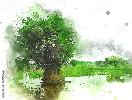 Abstract colorful beautiful green field landscape and tree in morning at Thailand on watercolor illustration painting background.