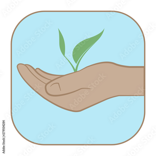 Hand holding a new plant. 