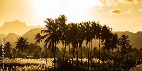 Sunset on coconut and sugar canne plantation near Achada Fazenda in Santiago Island in Cape Verde - Cabo Verde