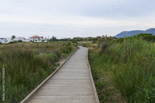 Wallpaper Mural Wooden path way in the middle of the nature Torontodigital.ca