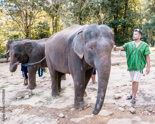 Elephant at sanctuary in Chiang Mai Thailand, Elephant farm in the moutnains jungle of Chiang Mai Tailand photo