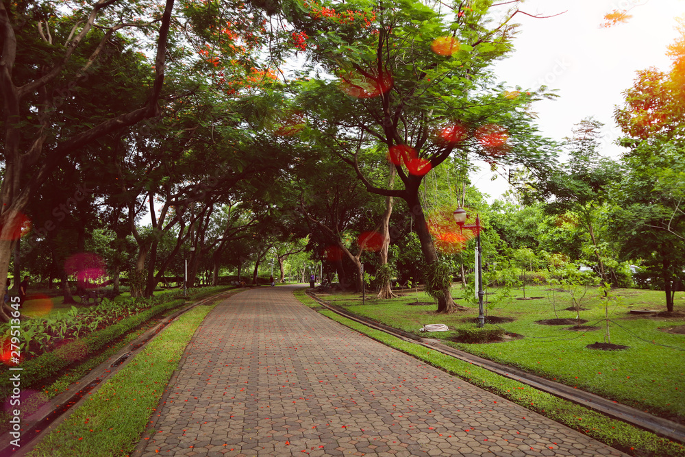 Naklejka premium Beautiful colorful flowers and green nature plant tree forest in the public garden and green city parks