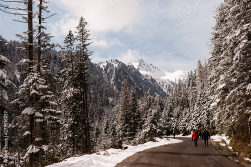 tourists walking along the snowy road. Winter is cold, trees covered with snow