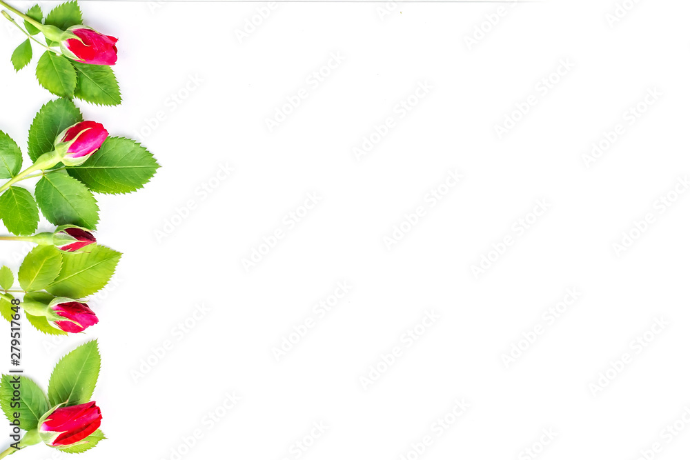 Obraz premium Red roses with leaves and buds on a white background. Background for holiday, birthday, Mother's Day, Valentine's day, Women's Day. Top view, flat lay composition. Copy space for text or design.