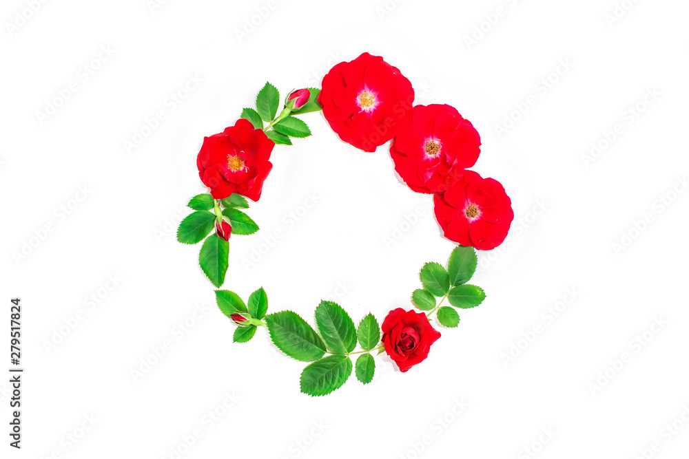 Round frame of red roses with leaves and buds  isolated on white background. Top view, flat lay composition. Copy space for text or design.
