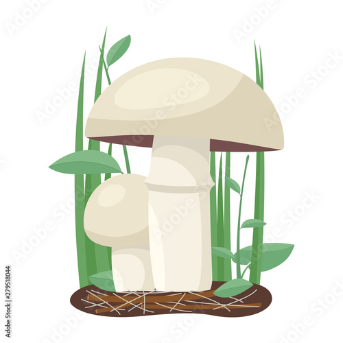 Two champignon mushrooms grow on a grass