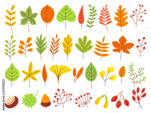 Colorful autumn leaves. Autumnal yellow leaf, forest nature orange leafage and september red leaves flat vector set