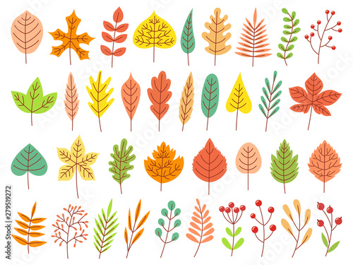 Autumn leaves. Yellow autumnal garden leaf, red fall leaf and fallen dry leaves flat vector set