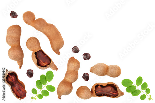 Tamarind fruit with leaf and seed isolated on white background with copy space for your text. Top view. Flat lay photo