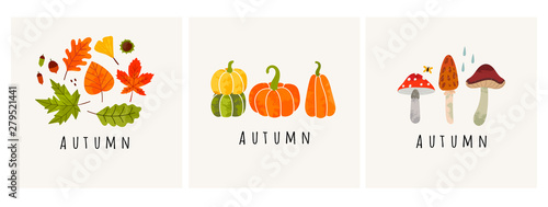 Autumn mood. Set of three colored trendy vector illustrations. Hand drawn various mushrooms, pumpkins and leaves. Flat design. Stamp texture. Greeting cards. Every illustration is isolated