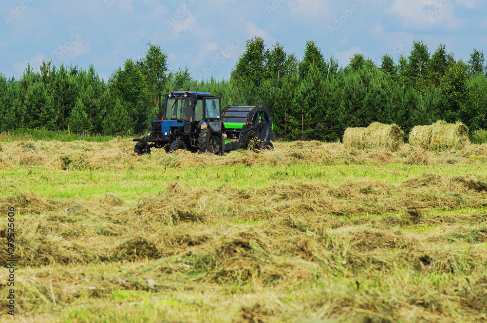 Hay harvesting with the help of special equipment Hay harvesting with the help of special equipment