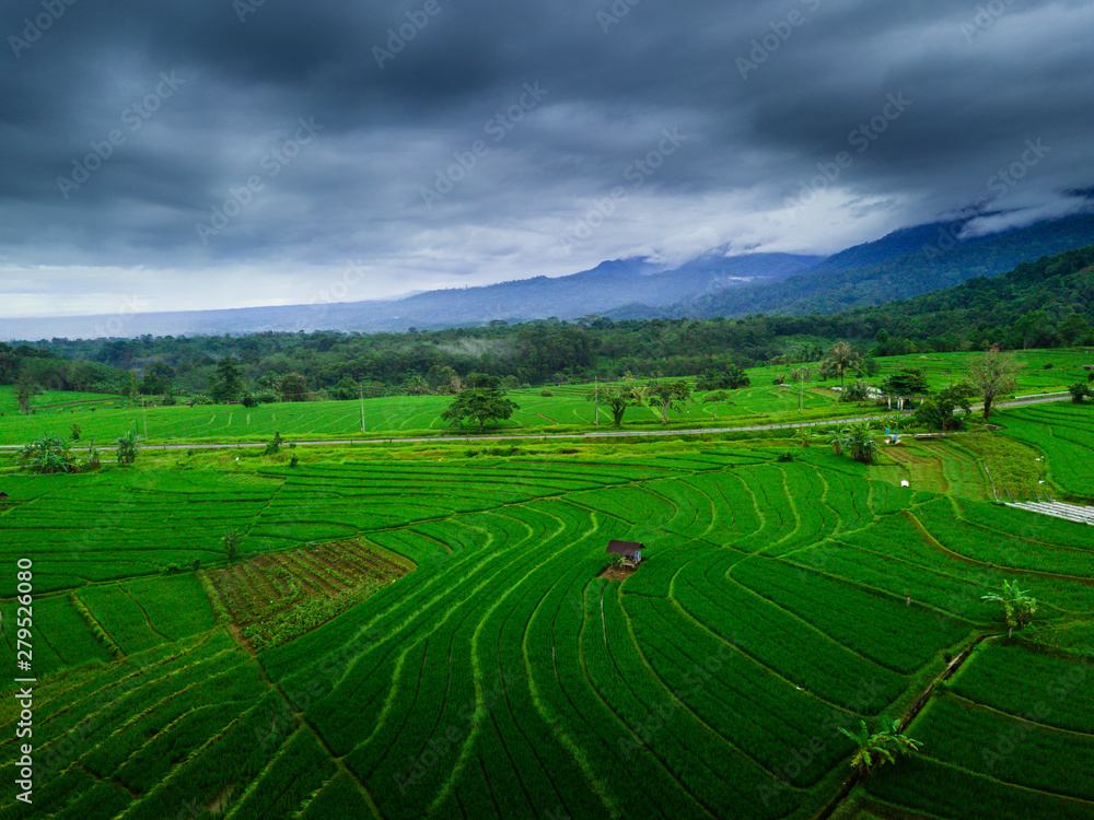 asia travel destination forest tropical at paddy fields with cloudy