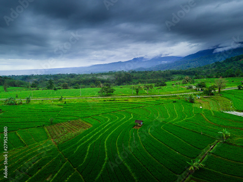 asia travel destination forest tropical at paddy fields with cloudy