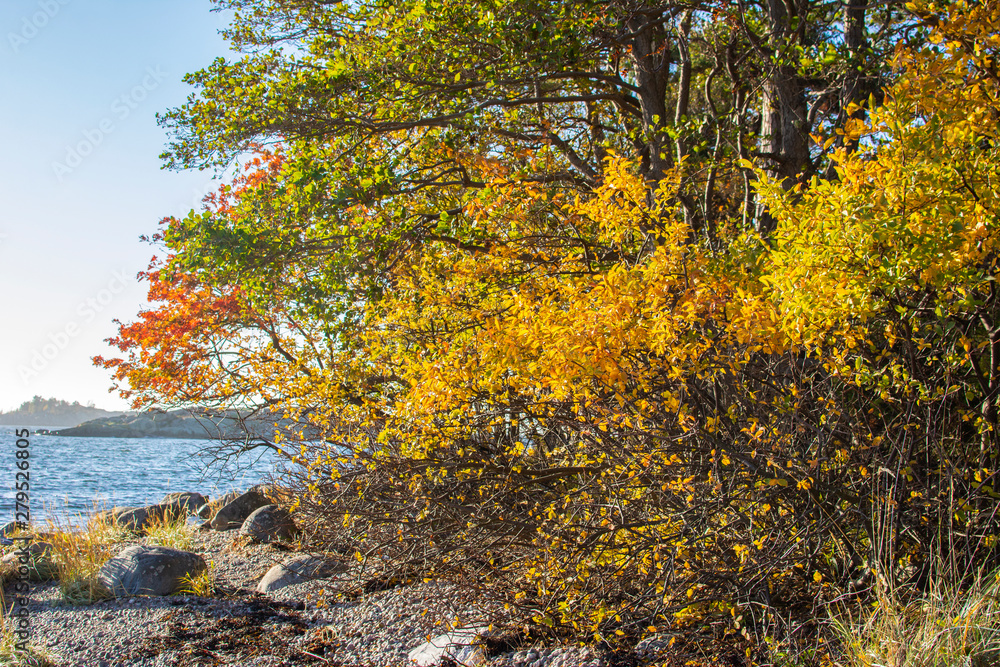 Beautiful  autumn view of Porkkalanniemi, rocks, trees and sea, Kirkkonummi, Finland