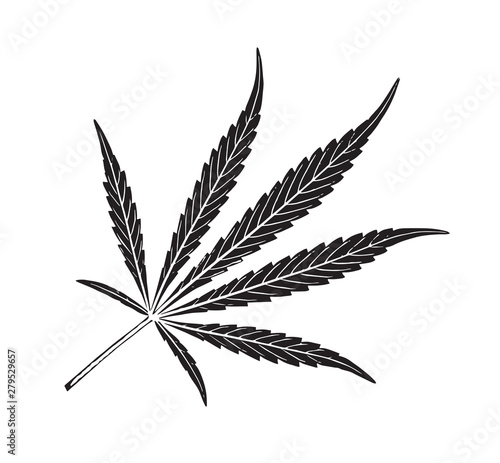  Cannabis leaves isolated on white background. vector .Growing marijuana. Medicinal plants